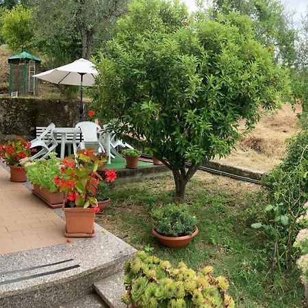 Appartamento Elide Bolano Εξωτερικό φωτογραφία